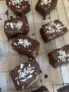 Nourish and Go Raw Chocolate Coconut Bar