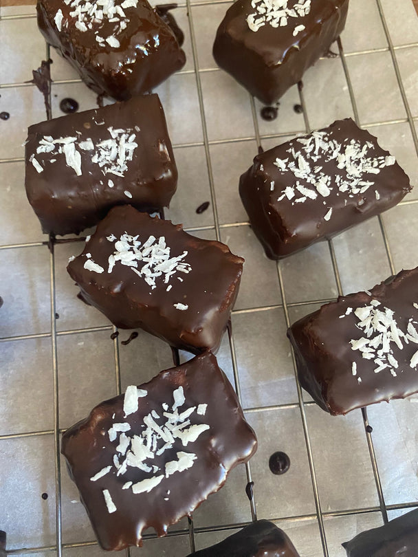 Nourish and Go Raw Chocolate Coconut Bar