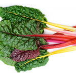 Chard Rainbow Pre Packed 300g