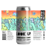 Counter Culture Look Up Kombucha 330ml