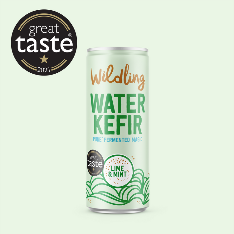 Wildling Water Kefir Lime & Mint 250ml