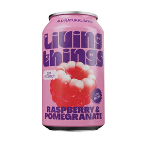Living Things Raspberry & Pomegranate Pre + Probiotic Soda - Sustainable Vegan Groceries Brighton