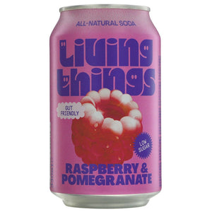 Raspberry & Pomegranate Soda 330Ml - Sustainable Vegan Groceries Brighton