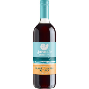 Jurassic Drinks Organic Orange Squash 740Ml - Sustainable Vegan Groceries Brighton