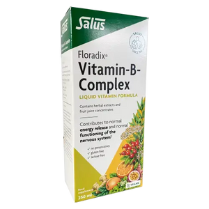 Floradix Floradix Vitamin B Complex 250ml - Kindly of Brighton