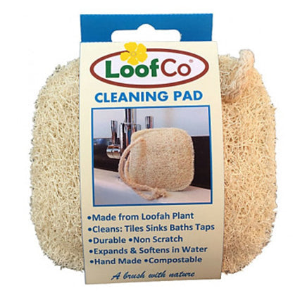 loofco washing up cleaning pad