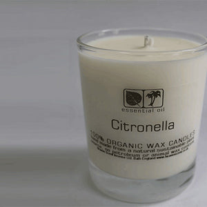 heavenscent citronella essential oil candle - large 20cl