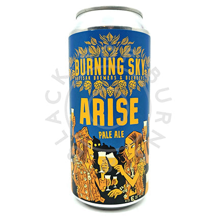 burning sky arise pale ale 440ml