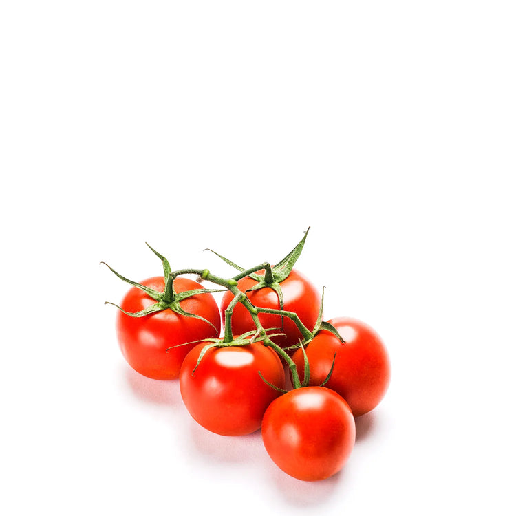 Organic Tomatoes on Vine