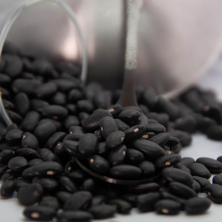 Organic Black Turtle Beans